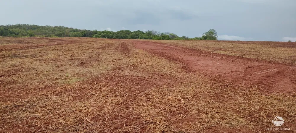 Fazenda, 3204 hectares - Foto 8