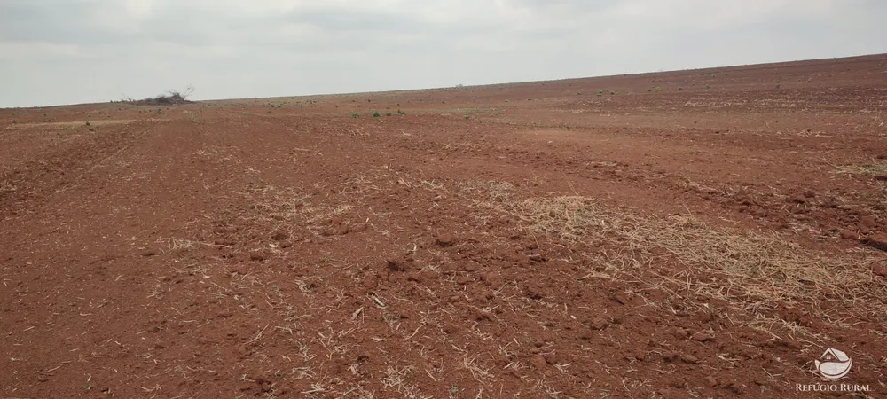 Fazenda, 3204 hectares - Foto 14