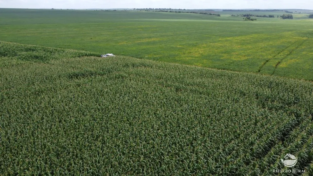 Fazenda, 3204 hectares - Foto 13