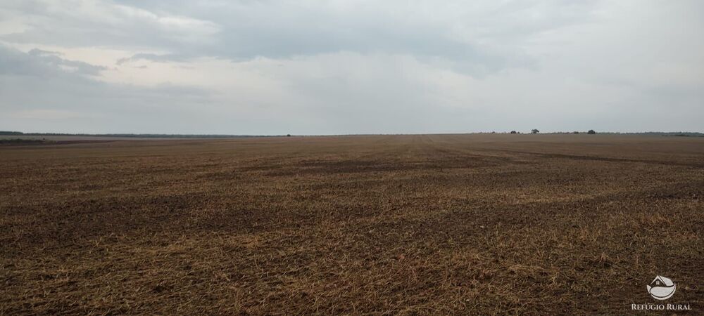 Fazenda à venda com 1 quarto, 32040000m² - Foto 27