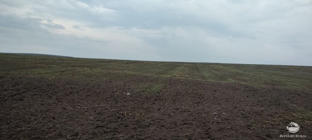 Fazenda à venda com 1 quarto, 32040000m² - Foto 9