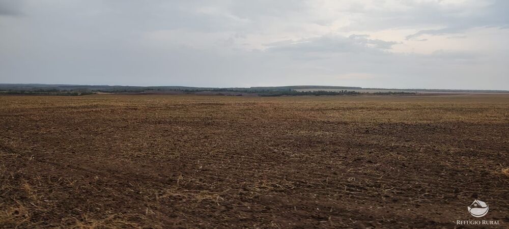 Fazenda à venda com 1 quarto, 32040000m² - Foto 26