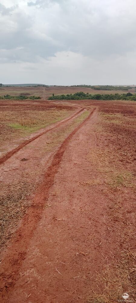 Fazenda à venda com 1 quarto, 32040000m² - Foto 19