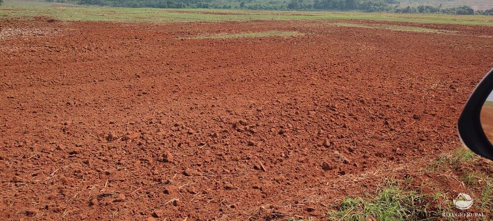 Fazenda à venda com 1 quarto, 32040000m² - Foto 40