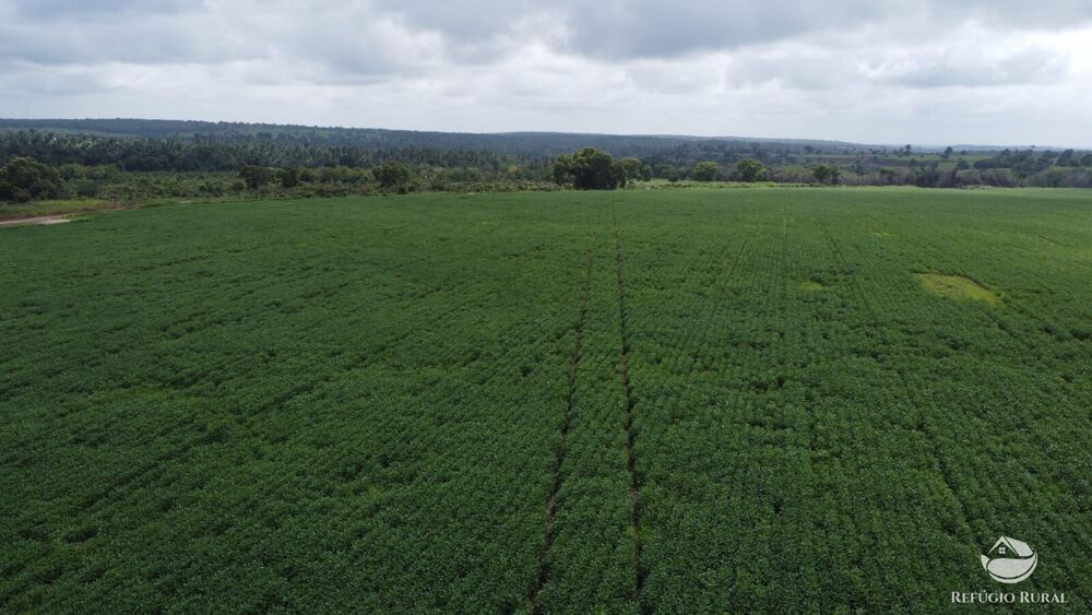 Fazenda à venda com 1 quarto, 32040000m² - Foto 31