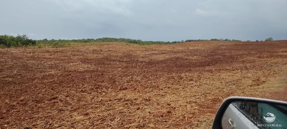 Fazenda à venda com 1 quarto, 32040000m² - Foto 14