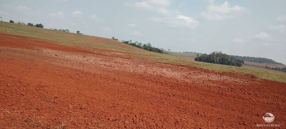 Fazenda à venda com 1 quarto, 32040000m² - Foto 38