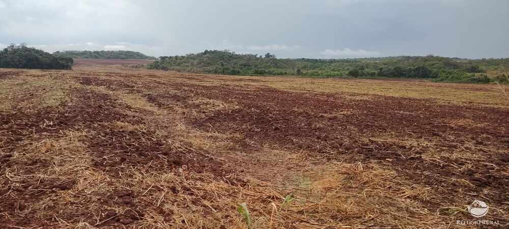 Fazenda à venda com 1 quarto, 32040000m² - Foto 12