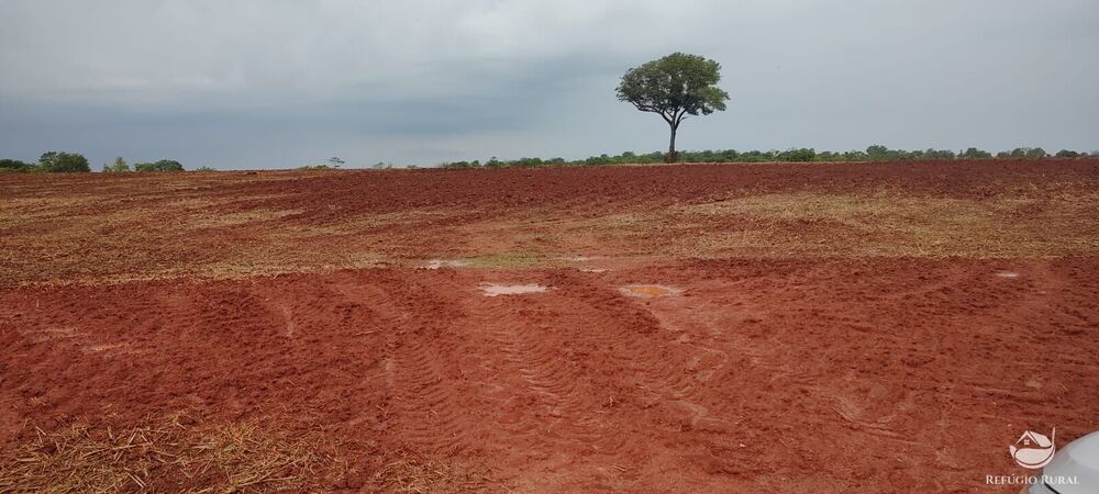 Fazenda à venda com 1 quarto, 32040000m² - Foto 17