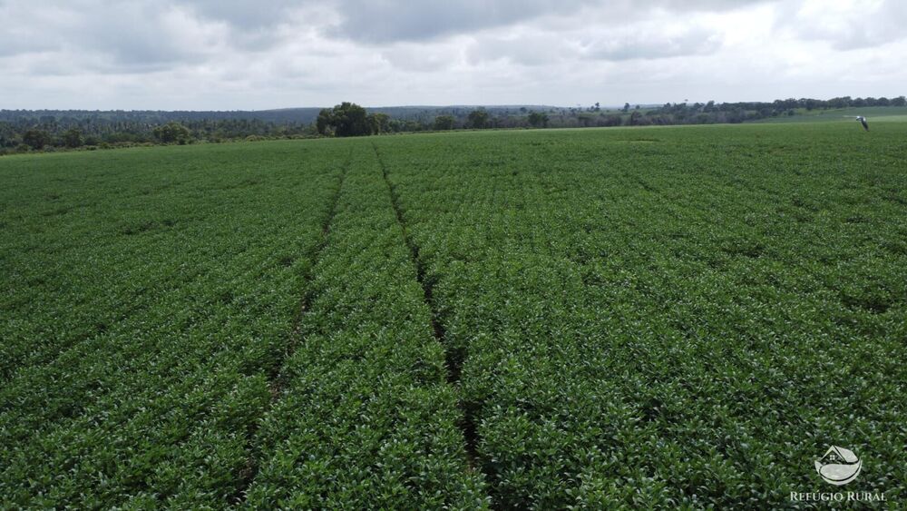 Fazenda à venda com 1 quarto, 32040000m² - Foto 1