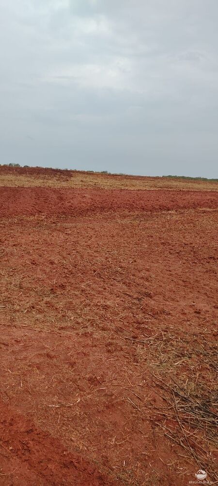 Fazenda à venda com 1 quarto, 32040000m² - Foto 20