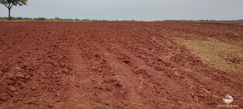 Fazenda à venda com 1 quarto, 32040000m² - Foto 22