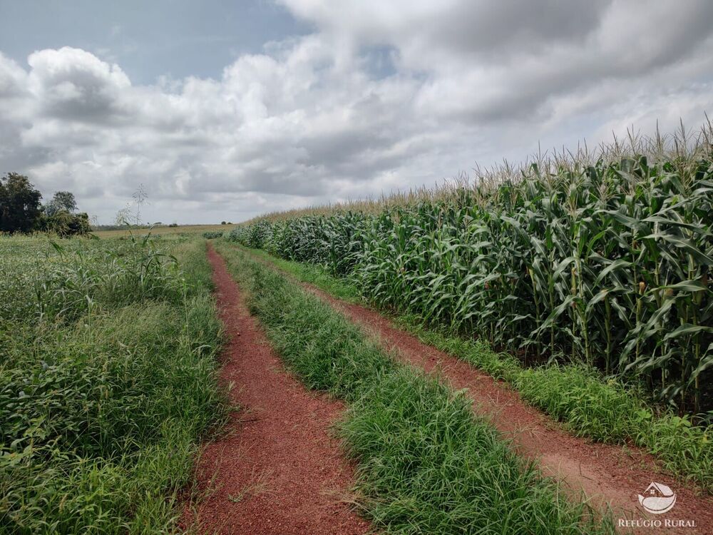 Fazenda à venda com 1 quarto, 32040000m² - Foto 35