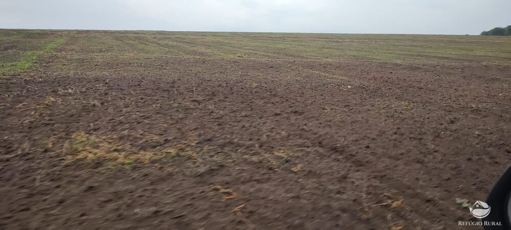Fazenda à venda com 1 quarto, 32040000m² - Foto 25