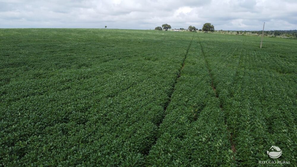 Fazenda à venda com 1 quarto, 32040000m² - Foto 34