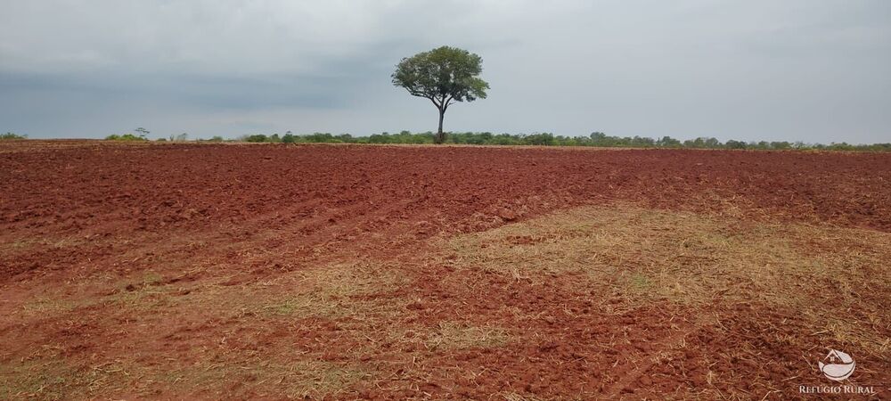 Fazenda à venda com 1 quarto, 32040000m² - Foto 21