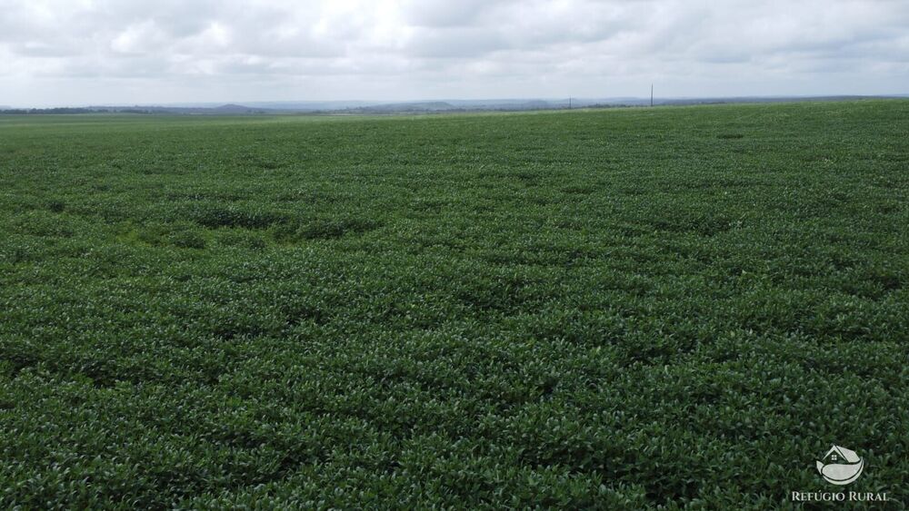 Fazenda à venda com 1 quarto, 32040000m² - Foto 30