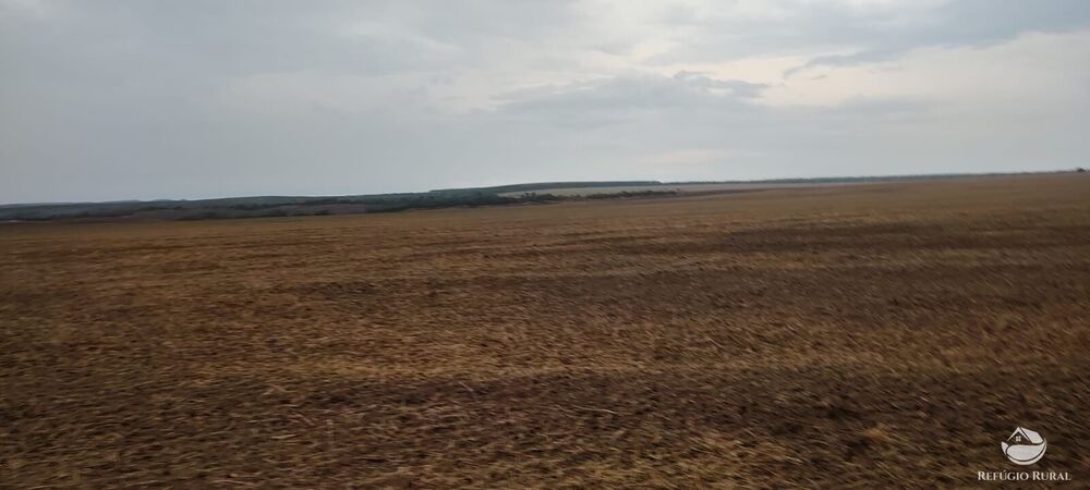 Fazenda à venda com 1 quarto, 32040000m² - Foto 29