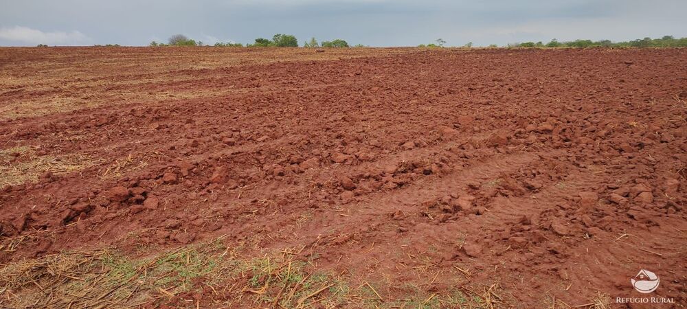 Fazenda à venda com 1 quarto, 32040000m² - Foto 23