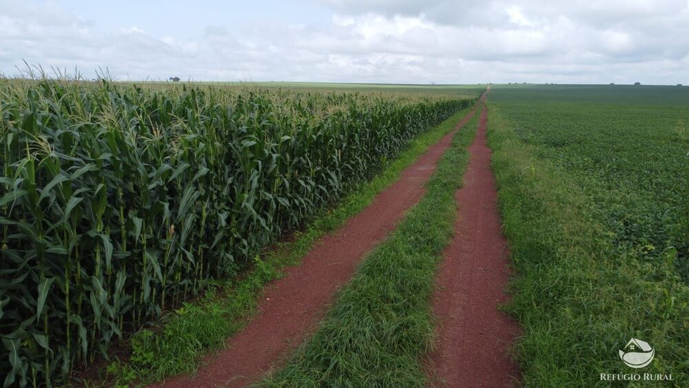 Fazenda à venda com 1 quarto, 32040000m² - Foto 5