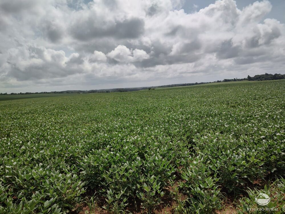 Fazenda à venda com 1 quarto, 32040000m² - Foto 36