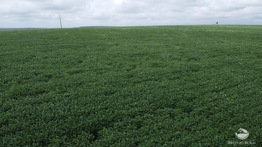 Fazenda à venda com 1 quarto, 32040000m² - Foto 11