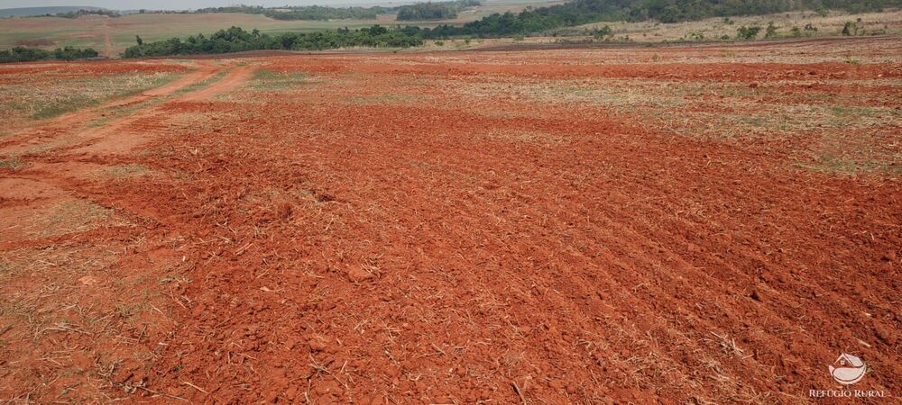 Fazenda à venda com 1 quarto, 32040000m² - Foto 37