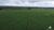 Fazenda-Sítio-Chácara, 3204 hectares - Foto 31