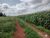 Fazenda-Sítio-Chácara, 3204 hectares - Foto 35