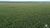 Fazenda-Sítio-Chácara, 3204 hectares - Foto 3
