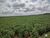 Fazenda-Sítio-Chácara, 3204 hectares - Foto 36