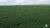 Fazenda-Sítio-Chácara, 3204 hectares - Foto 11