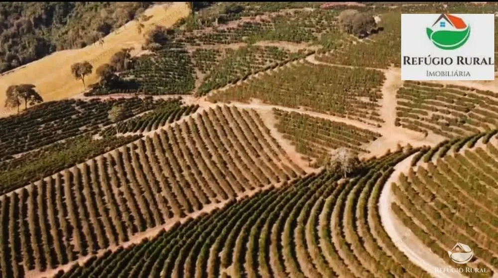 Fazenda, 2180 hectares - Foto 2