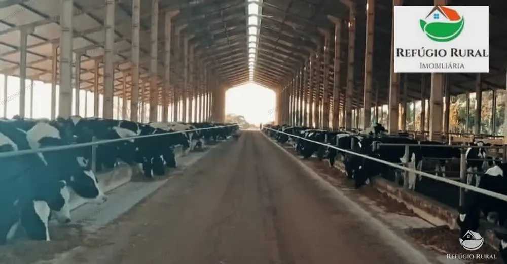 Fazenda, 2180 hectares - Foto 6