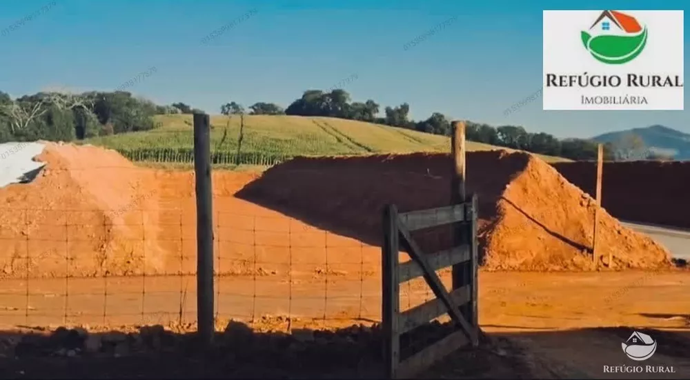 Fazenda, 2180 hectares - Foto 3