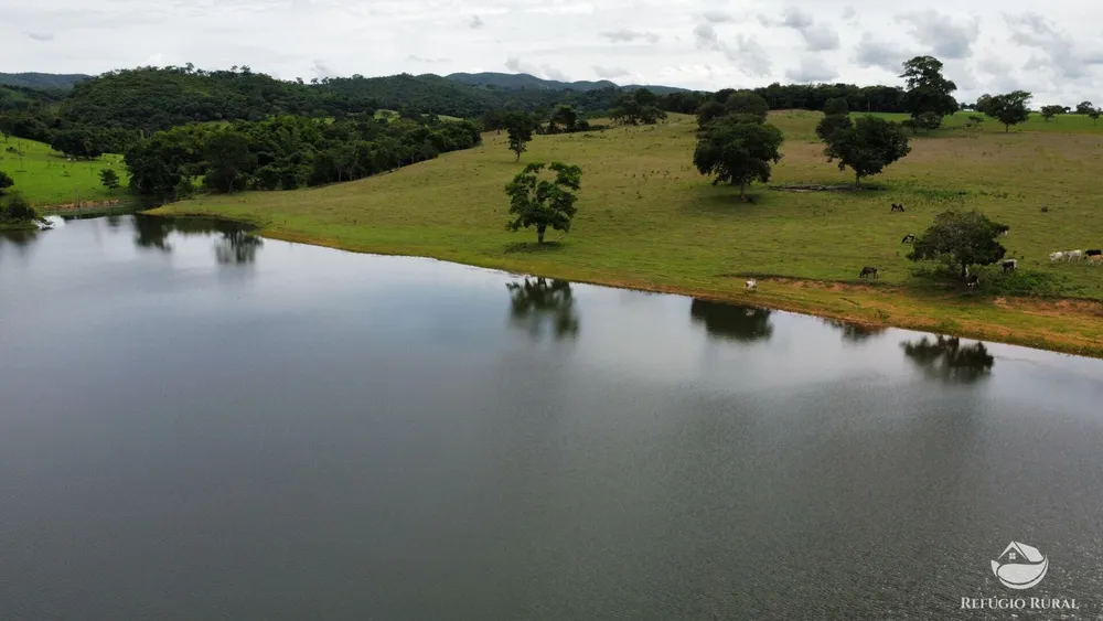 Fazenda, 261 hectares - Foto 13