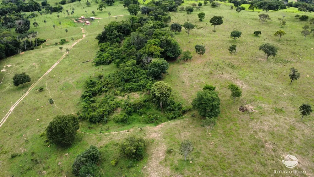 Fazenda, 261 hectares - Foto 14