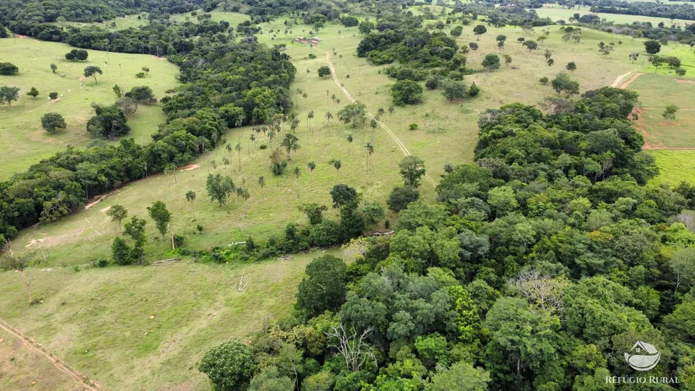 Fazenda, 261 hectares - Foto 6