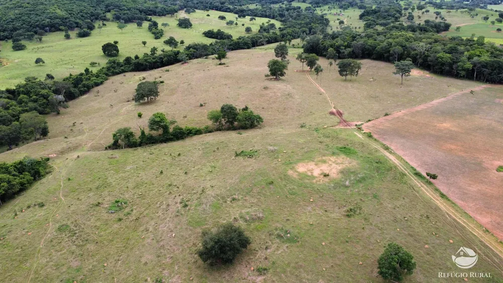 Fazenda, 261 hectares - Foto 15
