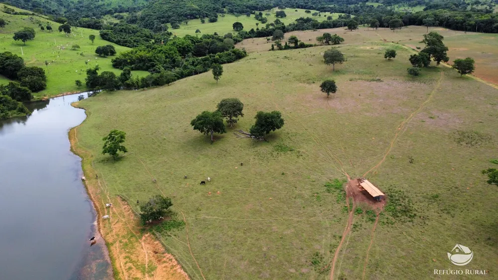 Fazenda, 261 hectares - Foto 10