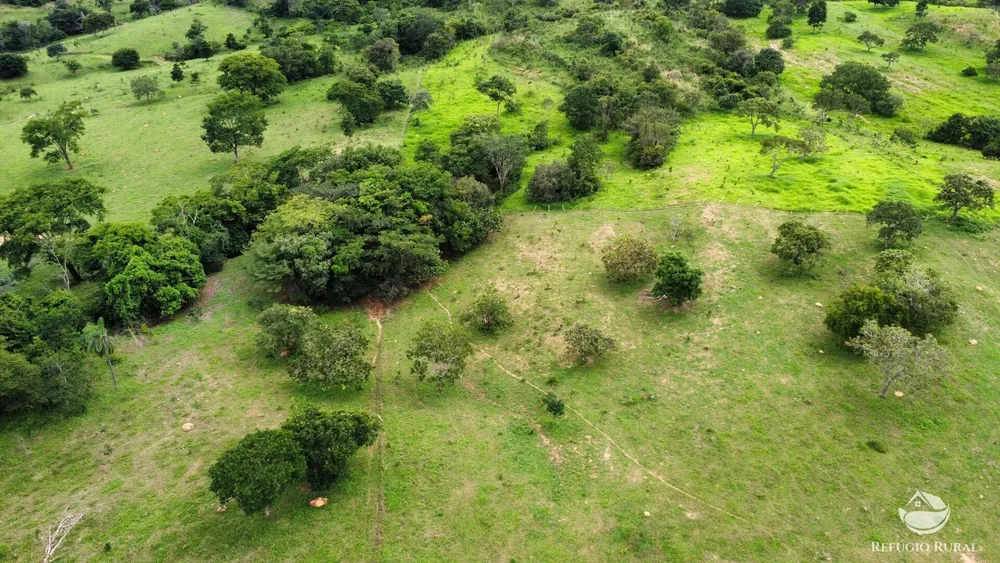Fazenda, 261 hectares - Foto 11