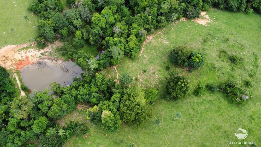 Fazenda, 261 hectares - Foto 16