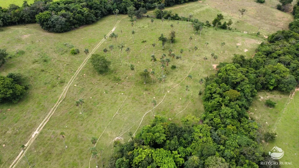 Fazenda, 261 hectares - Foto 1