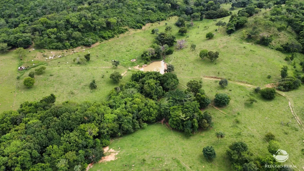 Fazenda, 261 hectares - Foto 4