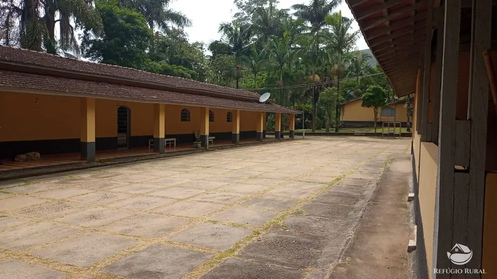 Fazenda, 397 hectares - Foto 9
