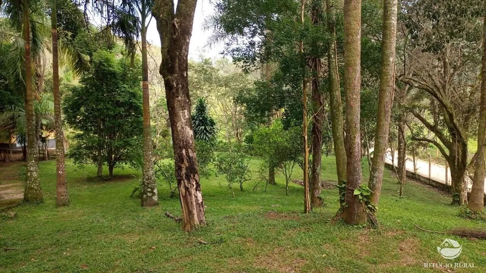Fazenda, 397 hectares - Foto 10