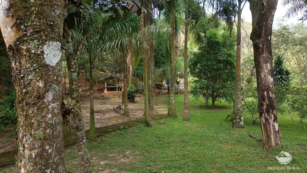 Fazenda, 397 hectares - Foto 3