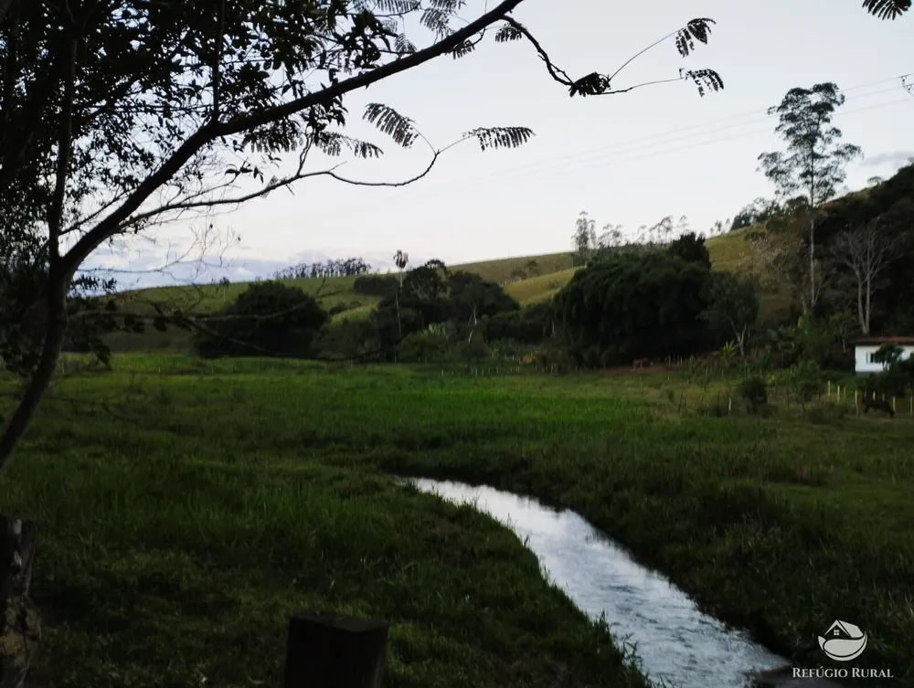 Chácara, 24 hectares - Foto 1