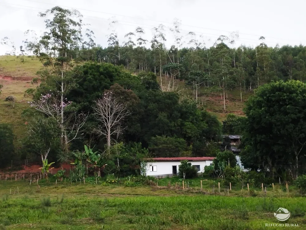 Sítio, 24 hectares - Foto 1