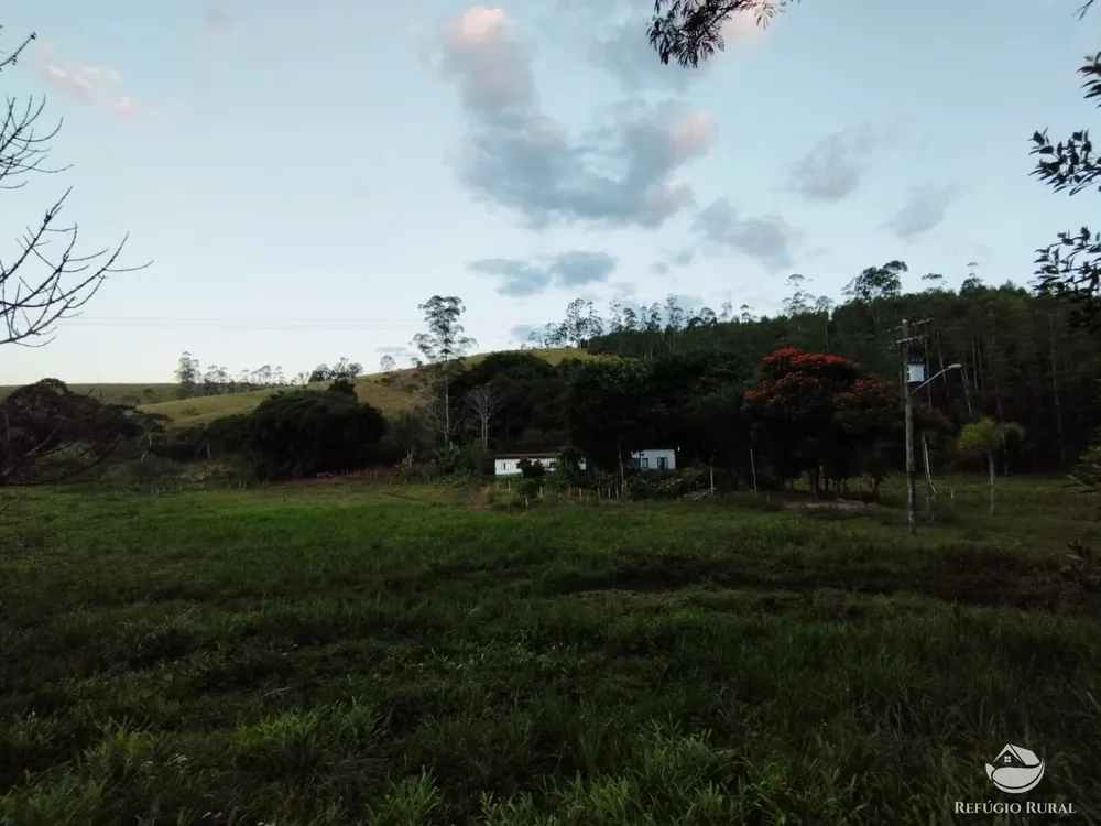 Sítio, 24 hectares - Foto 14